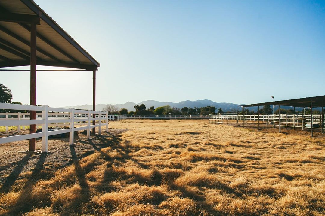 farm field Phoenix Arizona