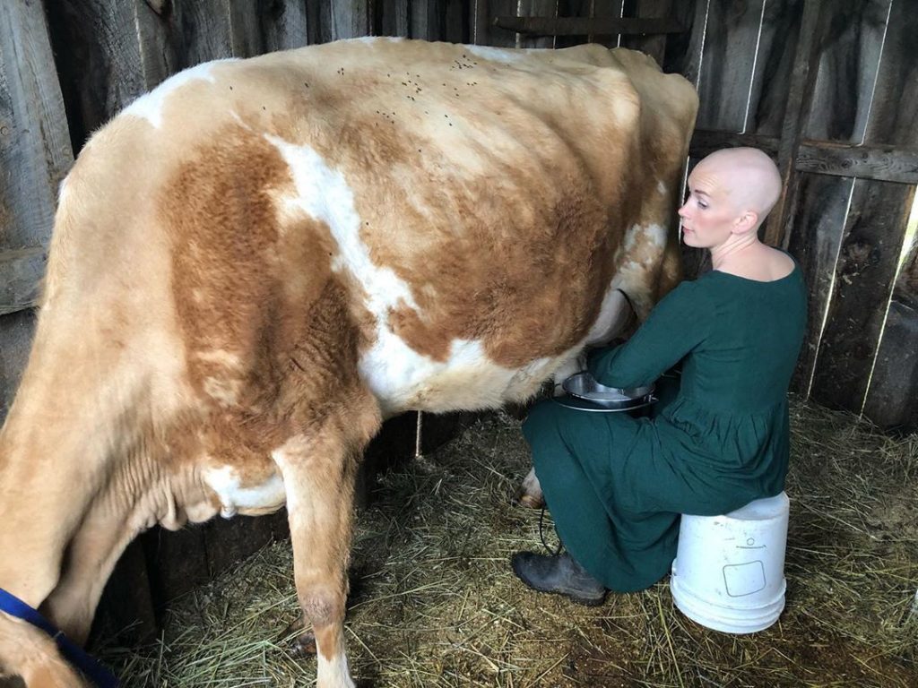 farmer with cancer miking cow